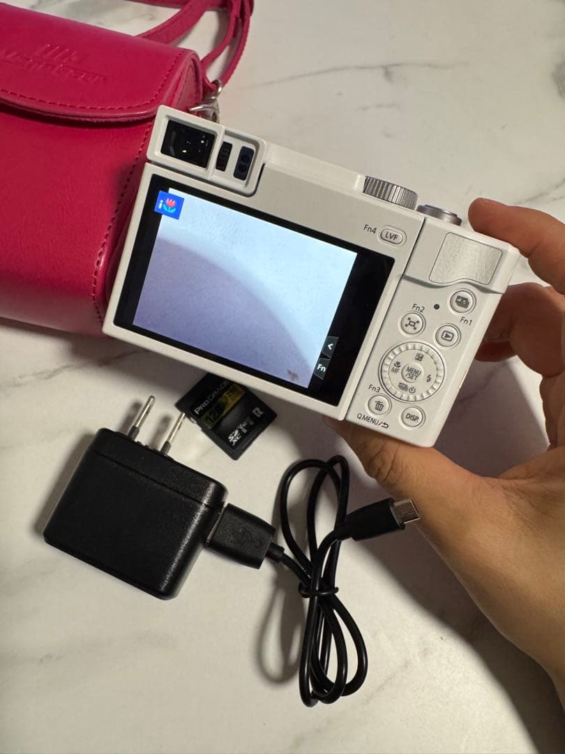 【美品】LUMIX ルミックス DC-TZ95