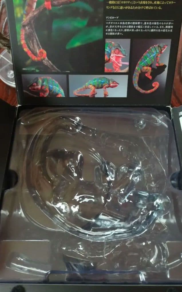 いきもの大図鑑プレミアム　パンサーカメレオン　アンビローブ・グリーン