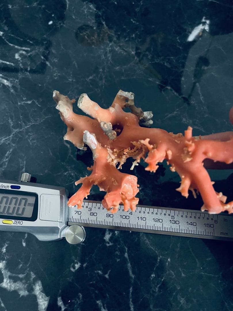 本珊瑚　珊瑚原木　桃珊瑚　赤サンゴ　置物　宝石珊瑚　ルース　重さ88.8g