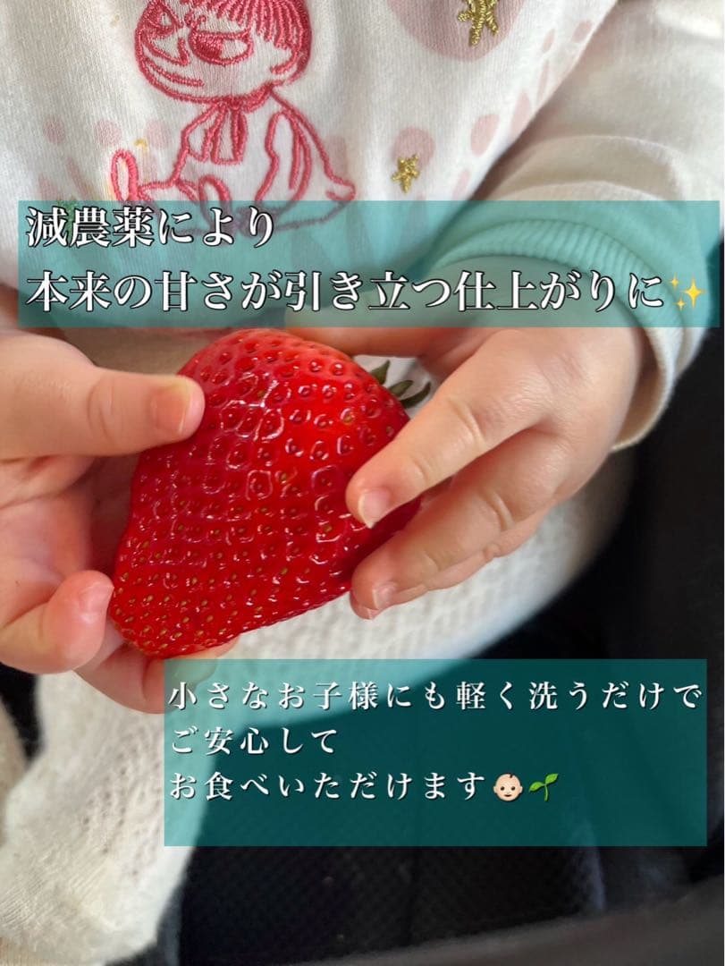 A級品 とちあいか いちご 25パック分　三田村様