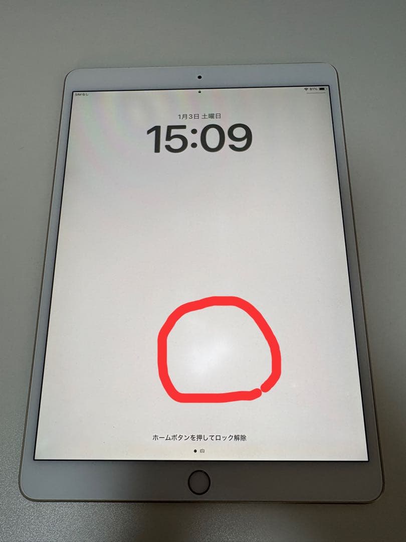 iPad本体 iPad Pro (10.5-inch) Wi-Fi + Cellula