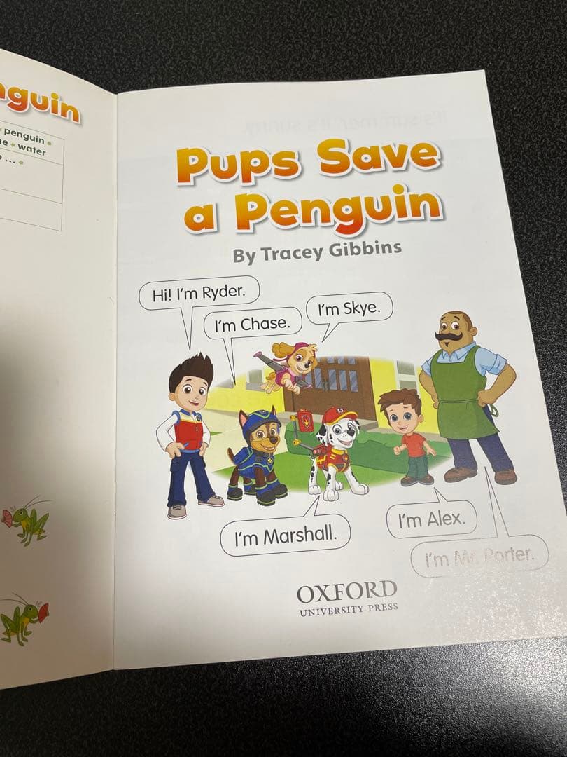 Reading stars paw patrol20冊セット