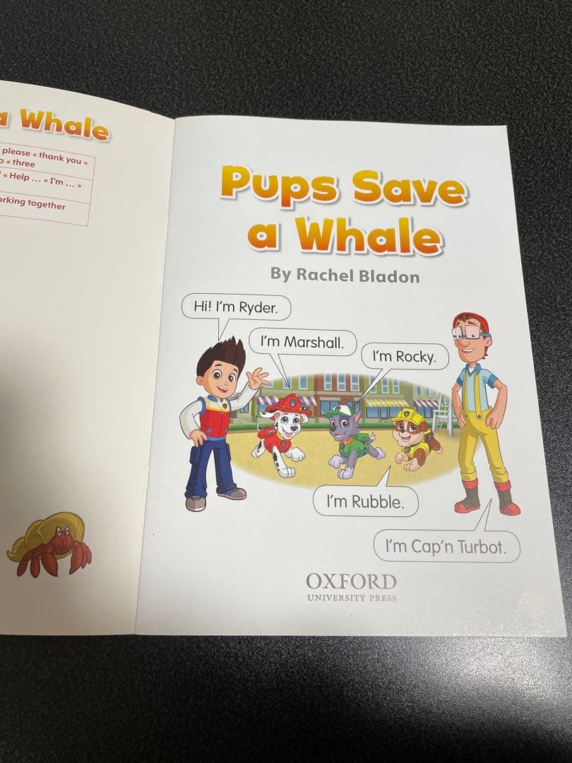 Reading stars paw patrol20冊セット