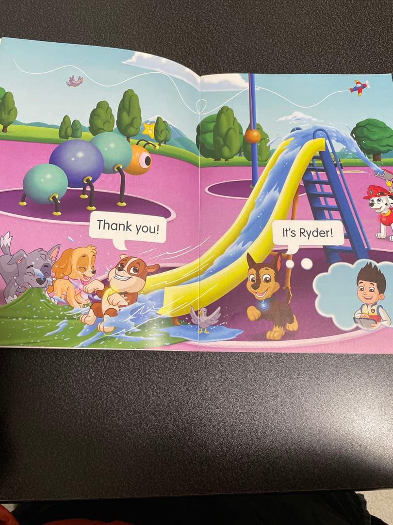 Reading stars paw patrol20冊セット