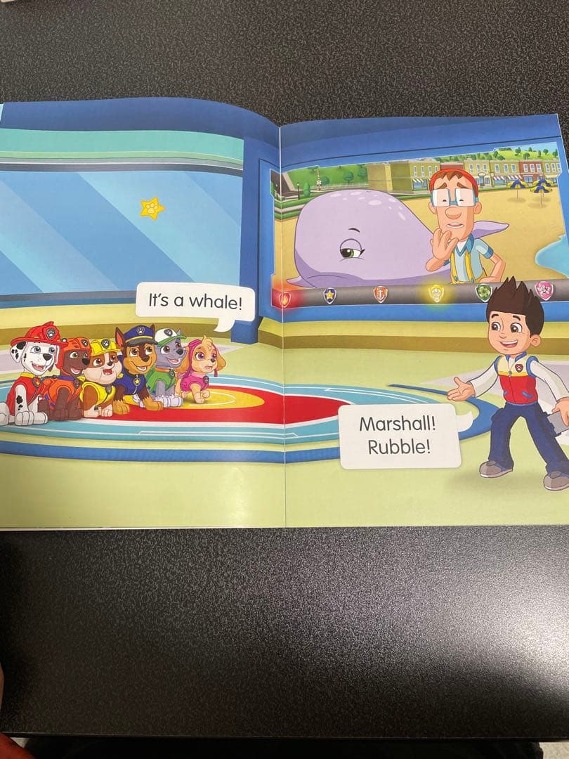 Reading stars paw patrol20冊セット