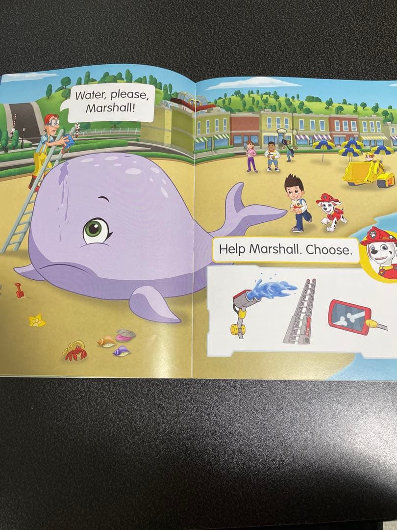 Reading stars paw patrol20冊セット