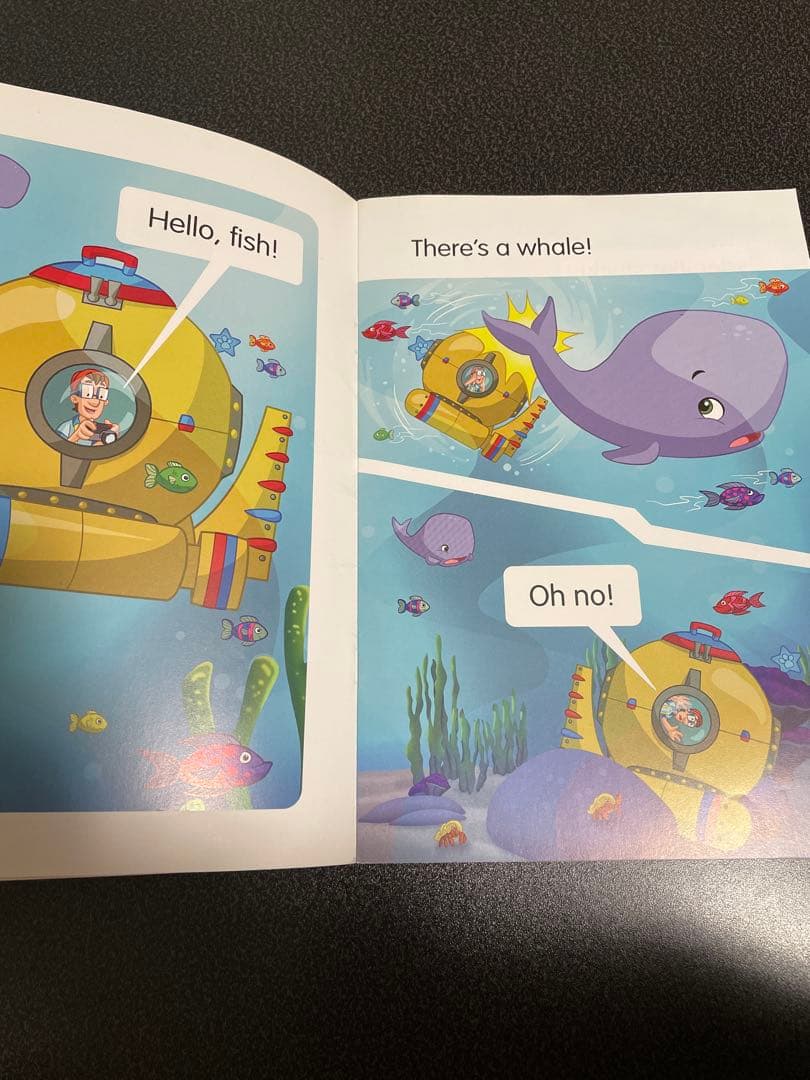 Reading stars paw patrol20冊セット