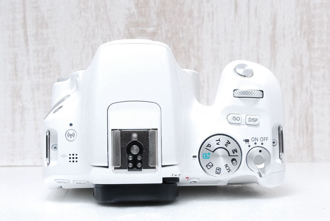 ❤️希少カラー❤️Wi-Fi搭載機❤️簡単操作❤️ Canon EOS Kiss X9