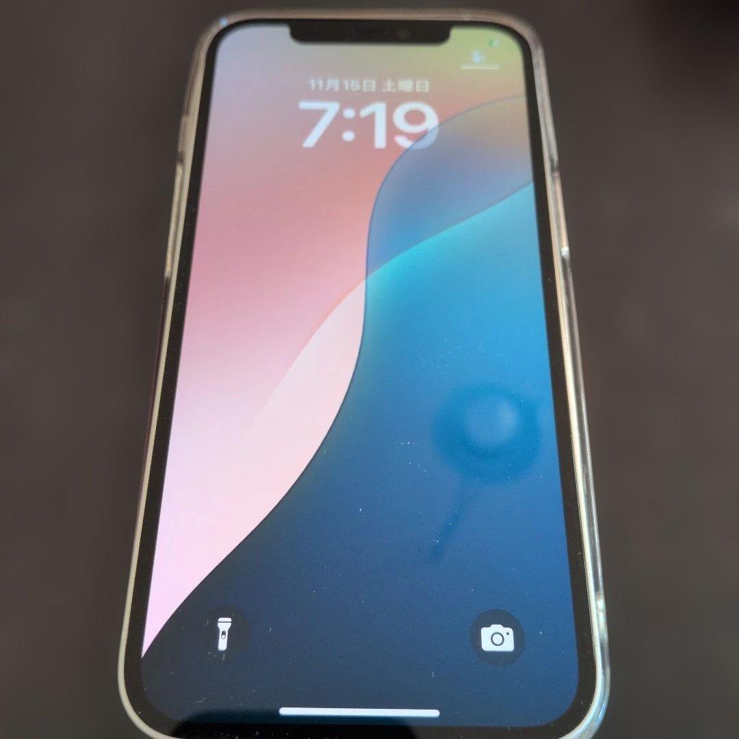 Apple iPhone 12 SIMフリー