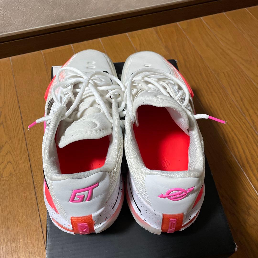 GTカット1 バッシュ