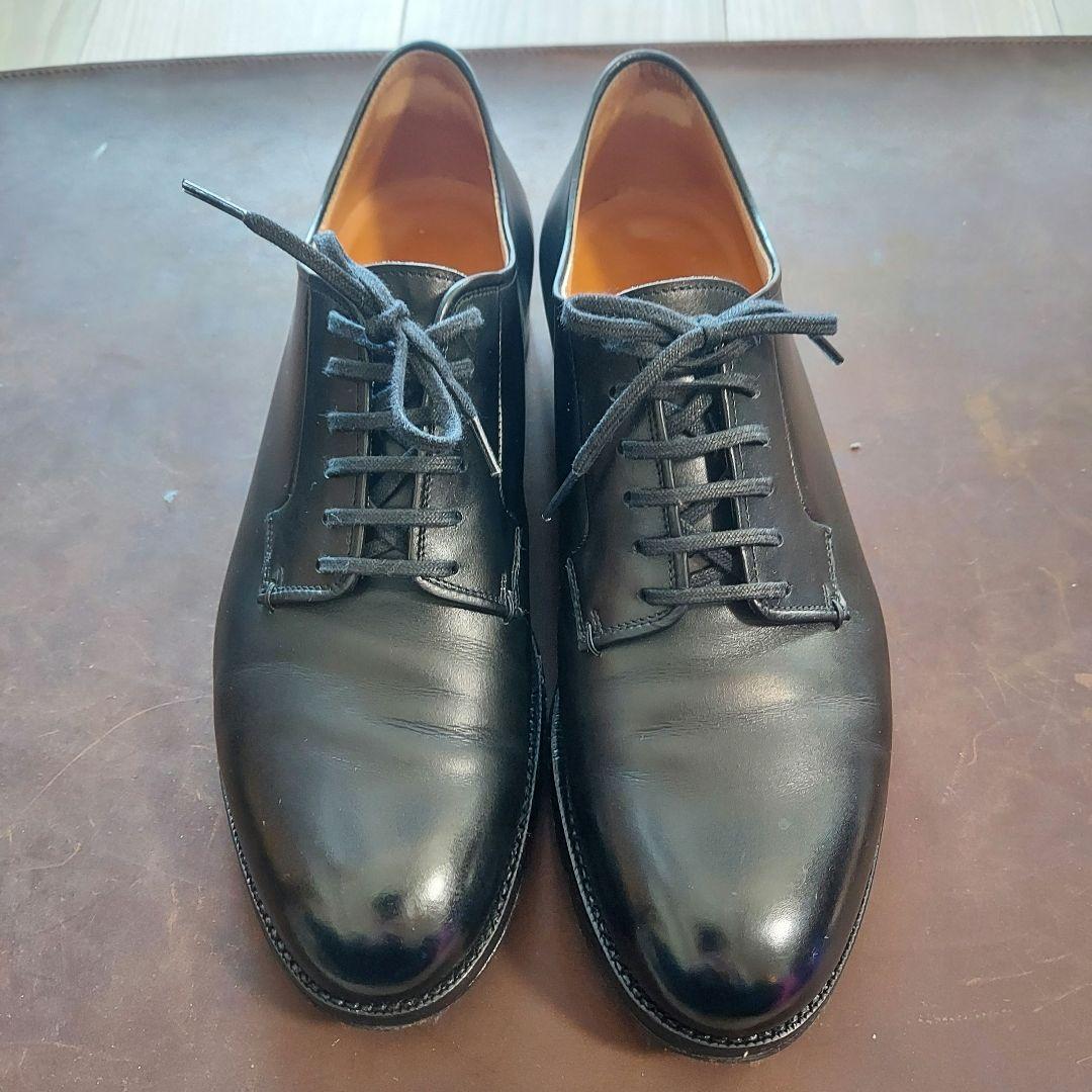 F.LLIGiacometti　FG173　アニローNERO　40