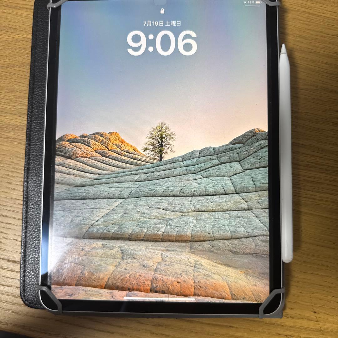 iPad pro 11インチ2世代+純正pencil 2世代 バッデリ最大87%