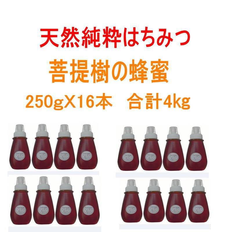 天然純粋はちみつ100%菩提樹の蜂蜜16本☆送料無料☆