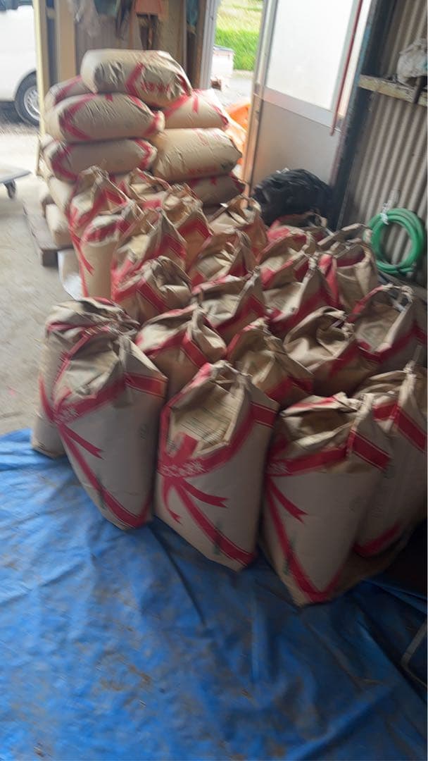 ひのひかり　令和7年10月　玄米30ｋg