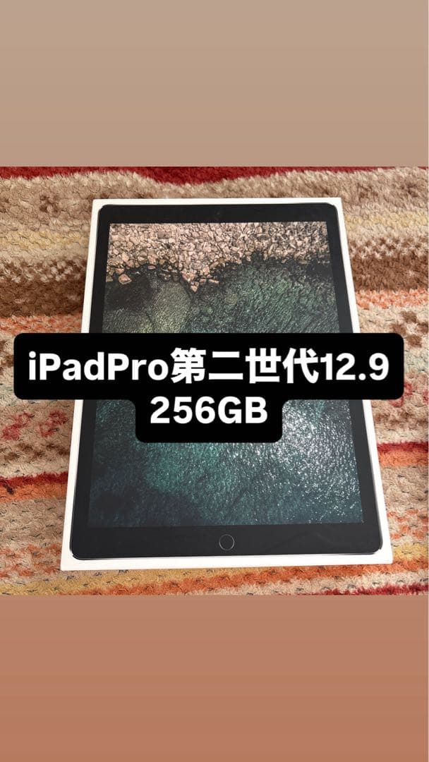 極美品‼️iPad Pro 12.9インチ　256GB 値段交渉可能