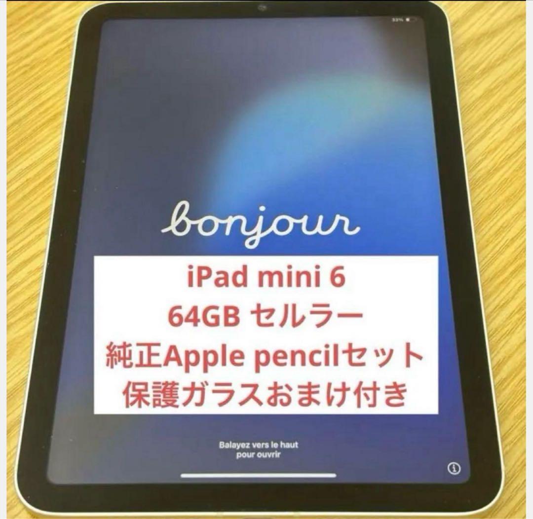 iPad mini 6 64GB シルバー cellular 純正pencil付