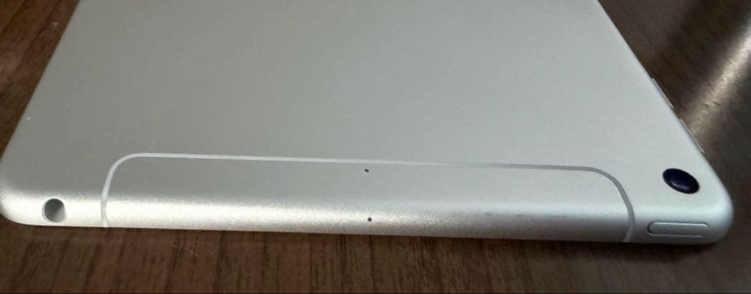 最終値下iPadmini 7.9インチ 第5世代 256GB セルラー シルバー