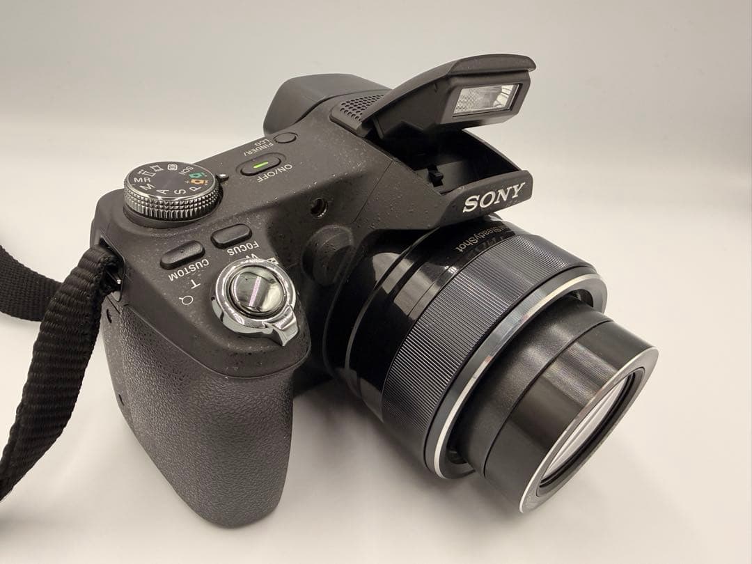 Sonyソニー Cybershot DSC-HX100V 16GBメモリー付きG