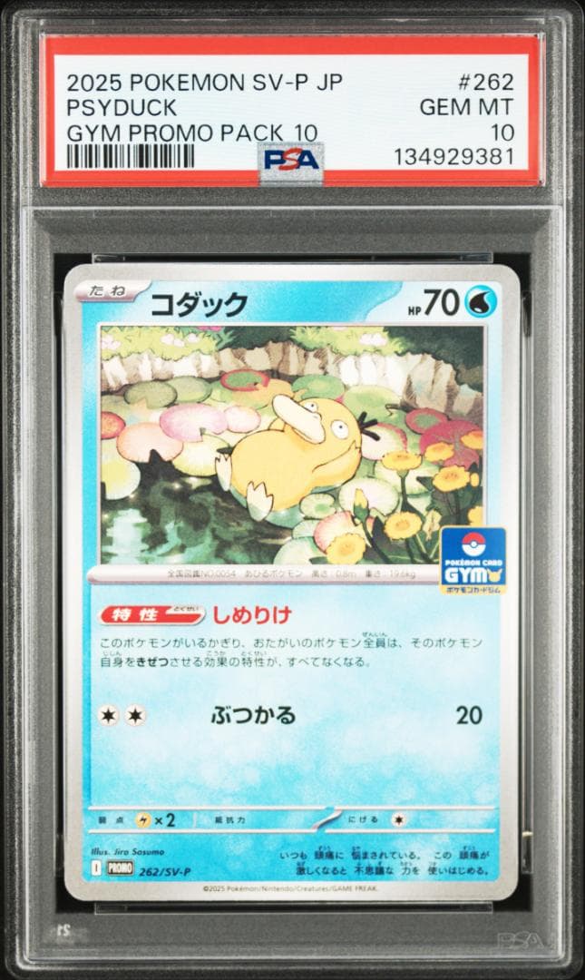 【PSA10 4連番】コダック プロモ ジムプロモ しめりけ 4枚セット