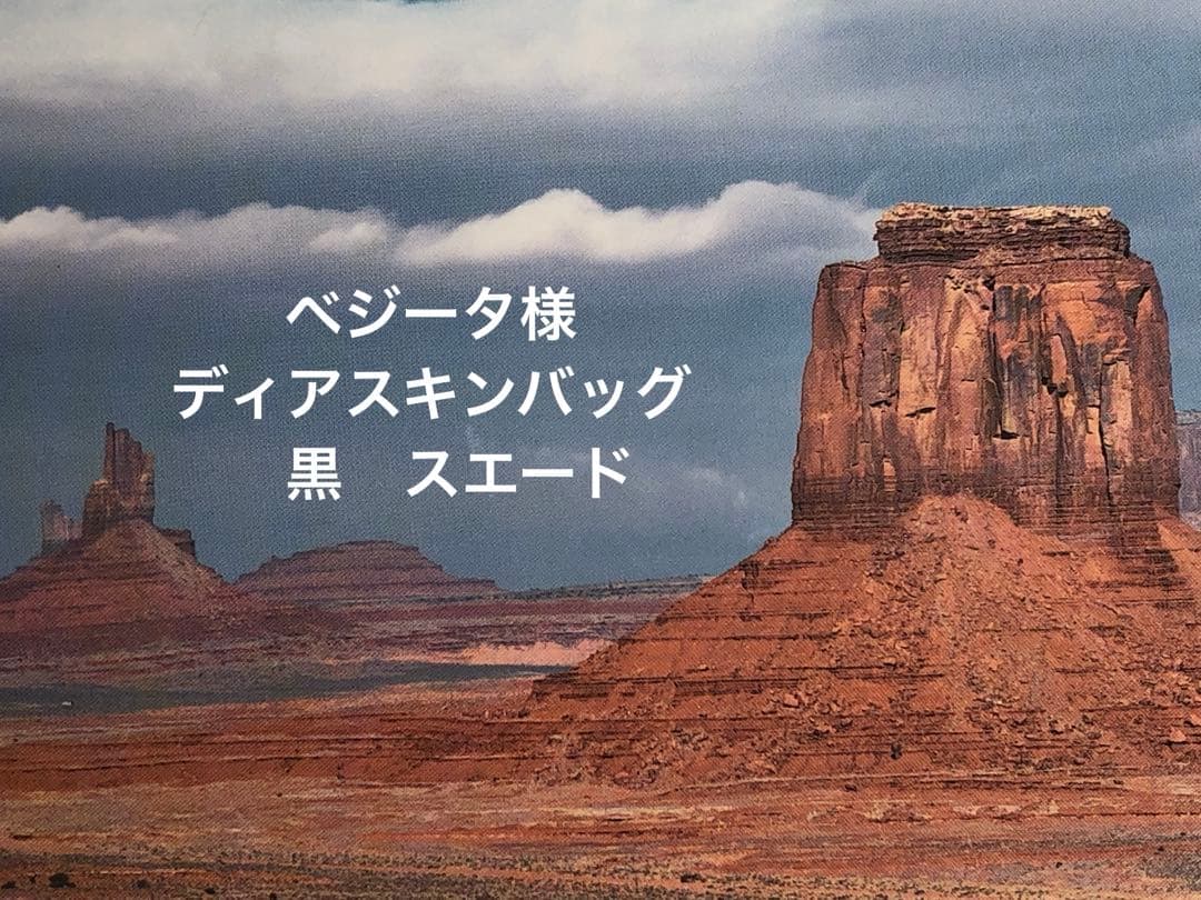 ベジータ様　ディアスキンバッグ　黒スエード