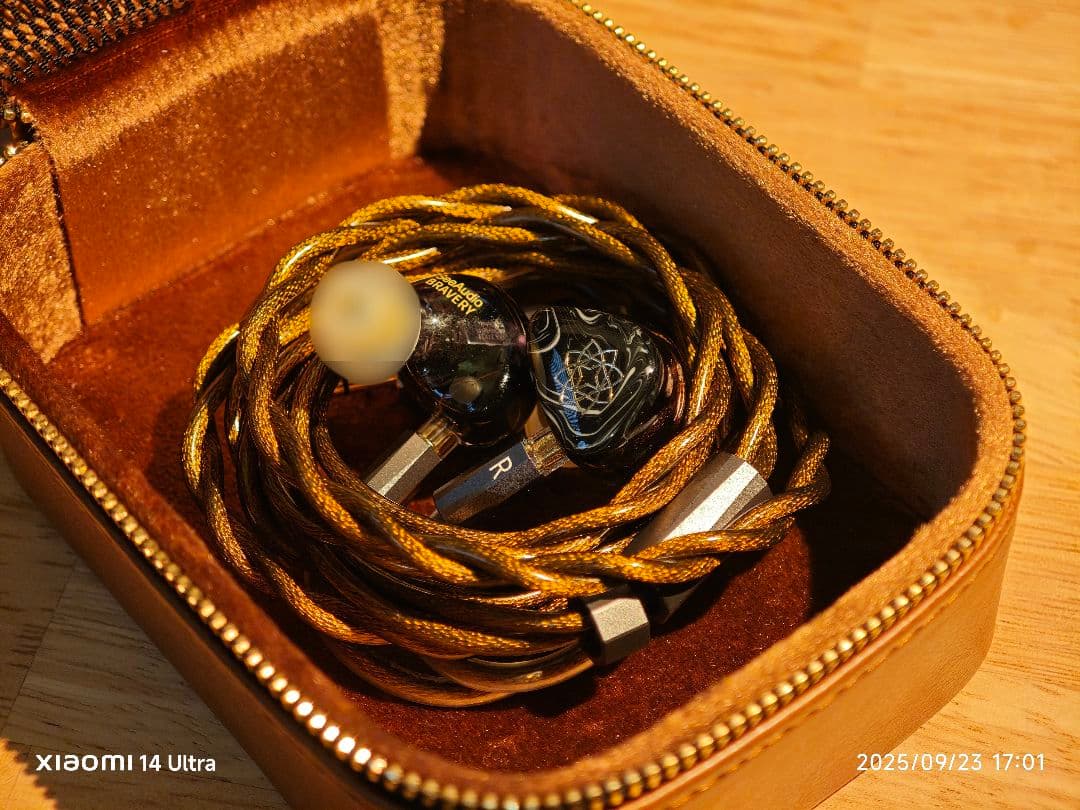 NICEHCK AceLitz 4.4mm 2Pin 新品未開封