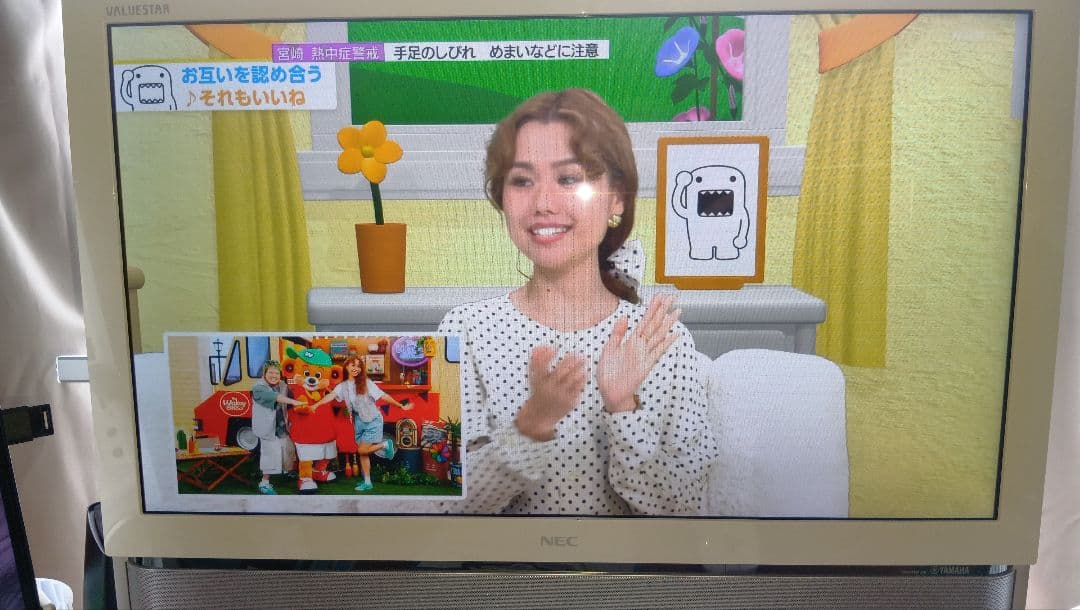 NEC バリュースター　VN770/R