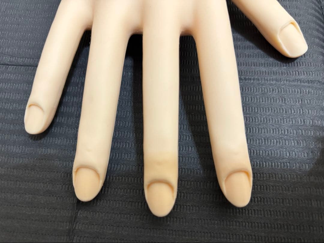 STモデルハンド セット（JNEC認定モデルハンド）