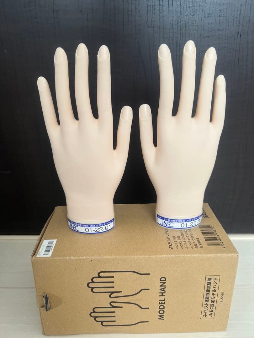 ネイルアート用モデルハンド2本セットとチップ