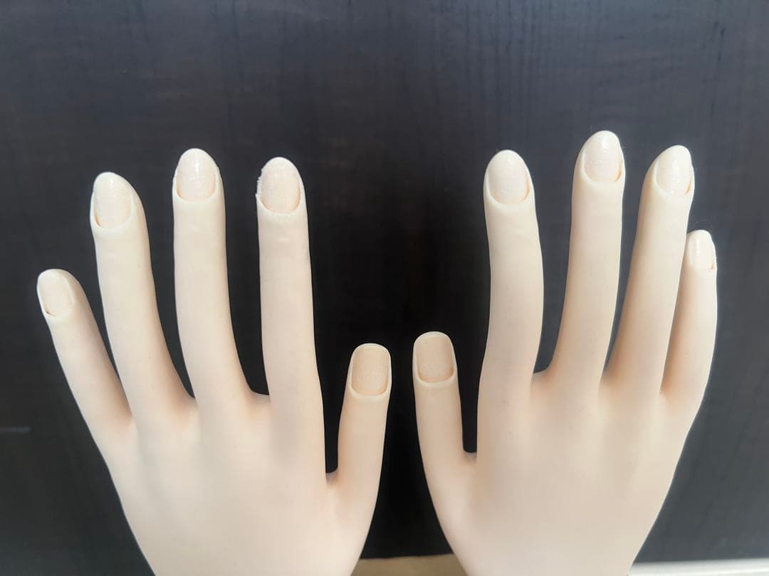 ネイルアート用モデルハンド2本セットとチップ