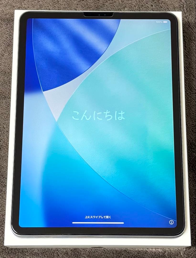 iPad Pro11インチ＋Apple Pencil 付属品付