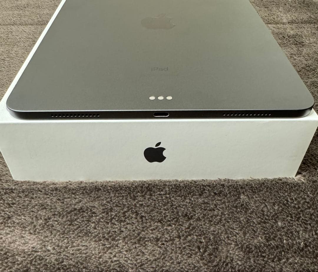 iPad Pro11インチ＋Apple Pencil 付属品付