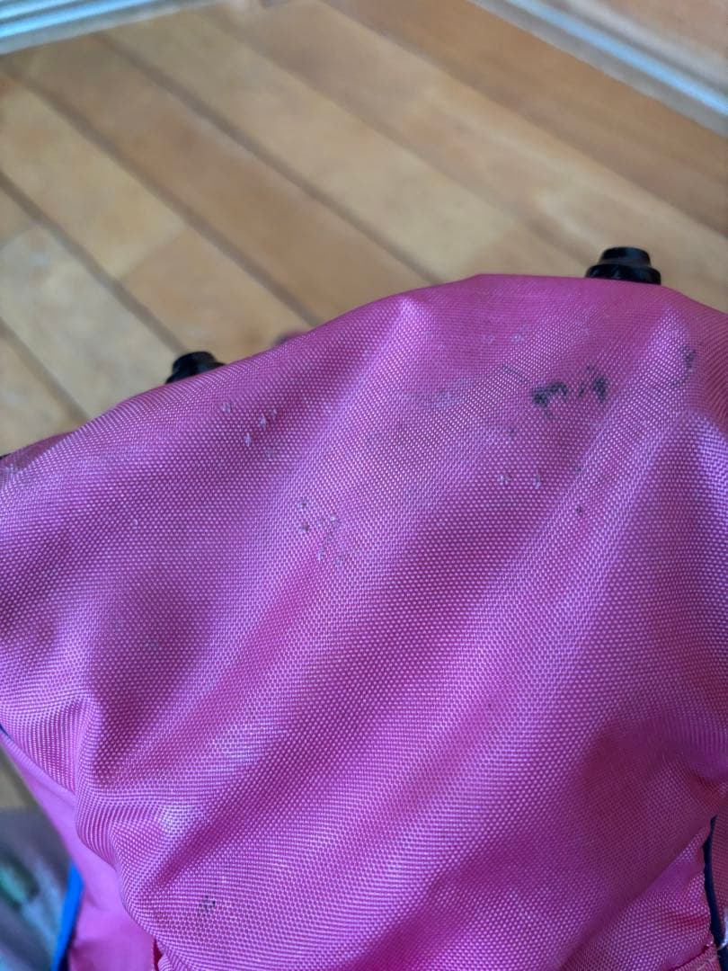 みなみWORLD PEGASUS ピンクバッグ