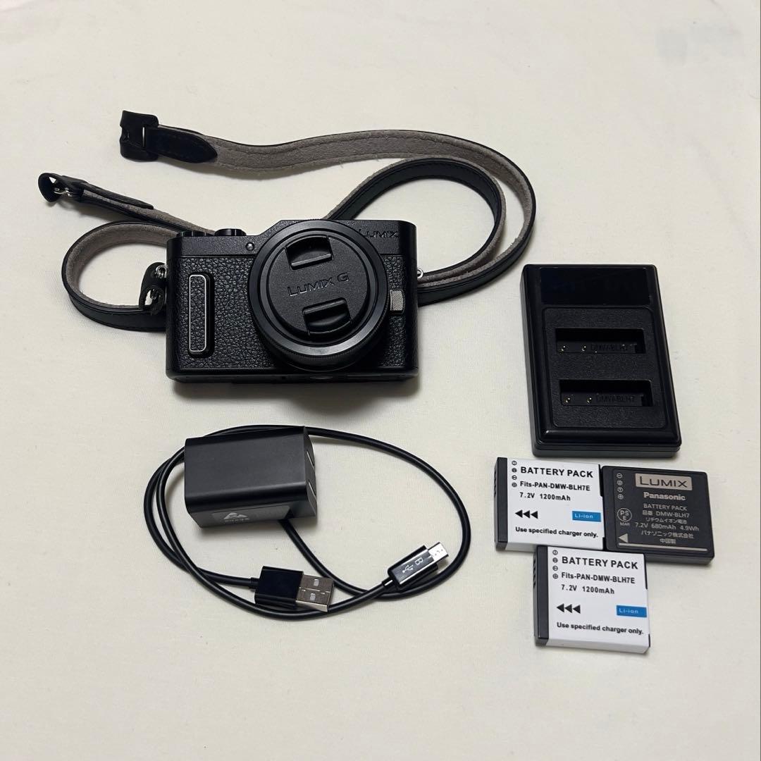 LUMIX GF10 レンズキット