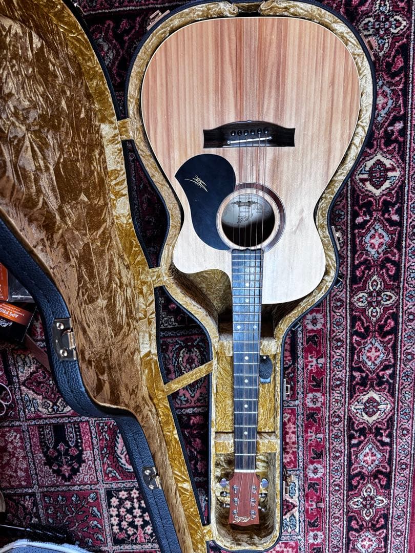 メイトン エレアコギター