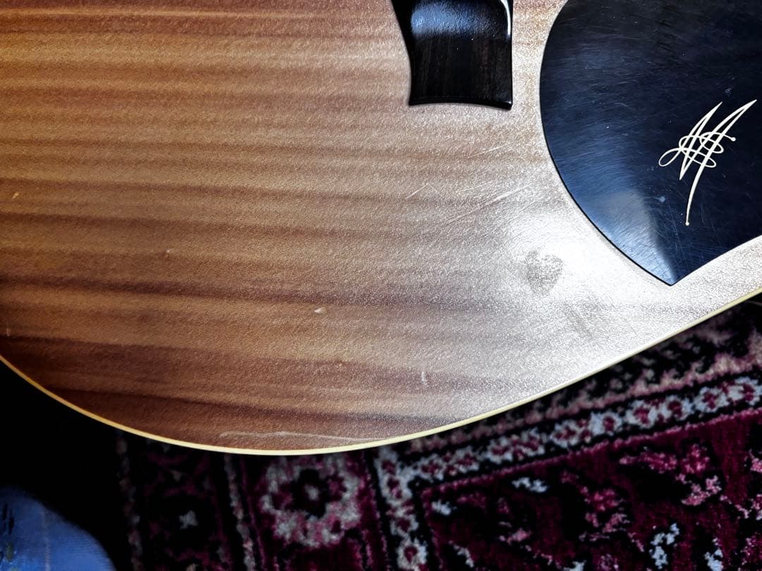 メイトン エレアコギター