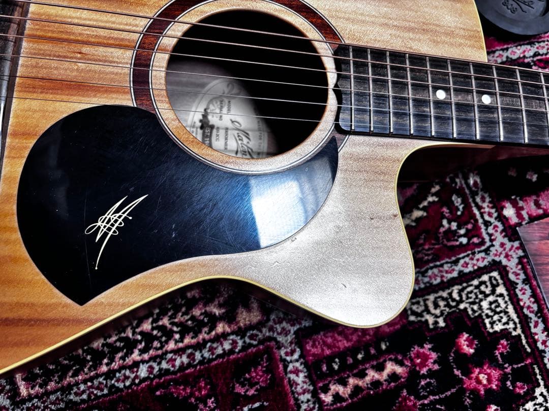 メイトン エレアコギター