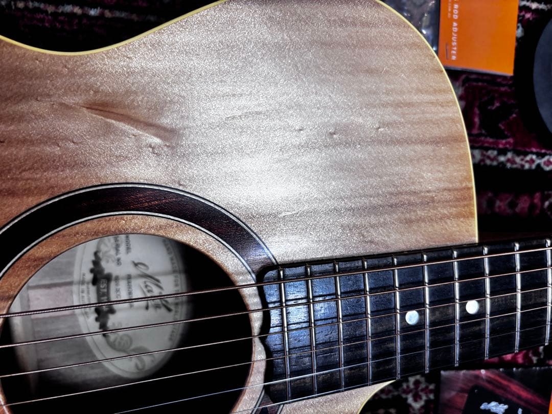 メイトン エレアコギター