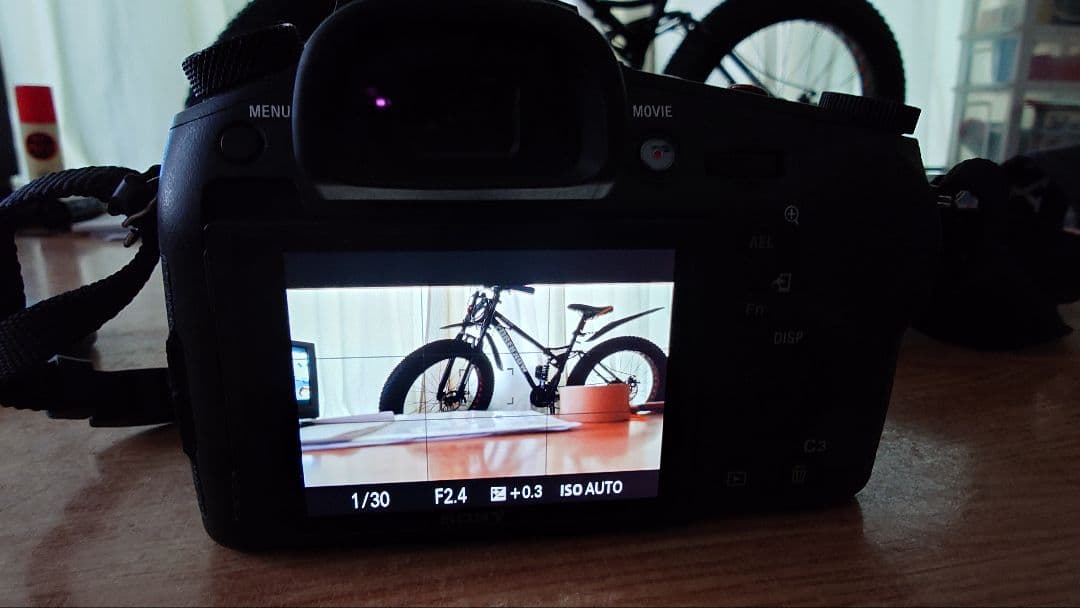 SONY RX10 Ⅳ カメラセット ズームレンズ600mm