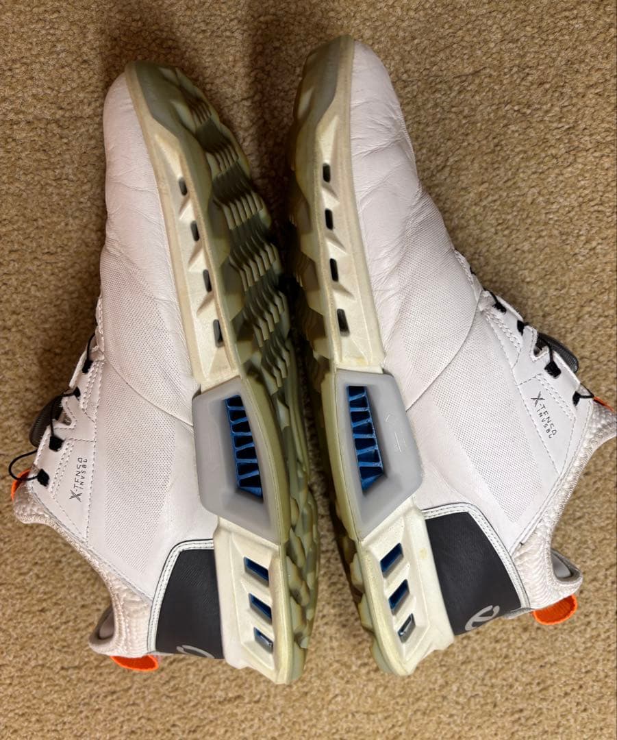 【週末値下げ】 ecco エコー BIOM C4 BOA ゴルフシューズ