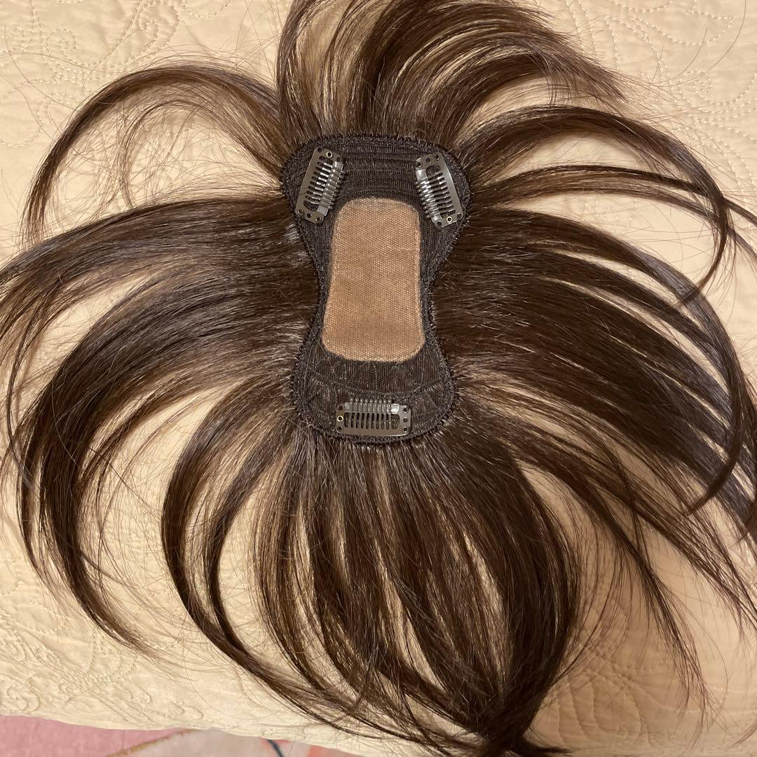 カズエウィッグ