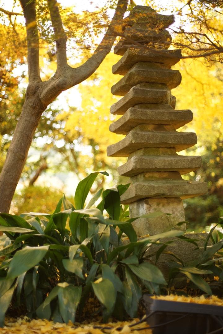 Carl　Zeiss　Planar 1.4/50mm　T*　付属多数付き