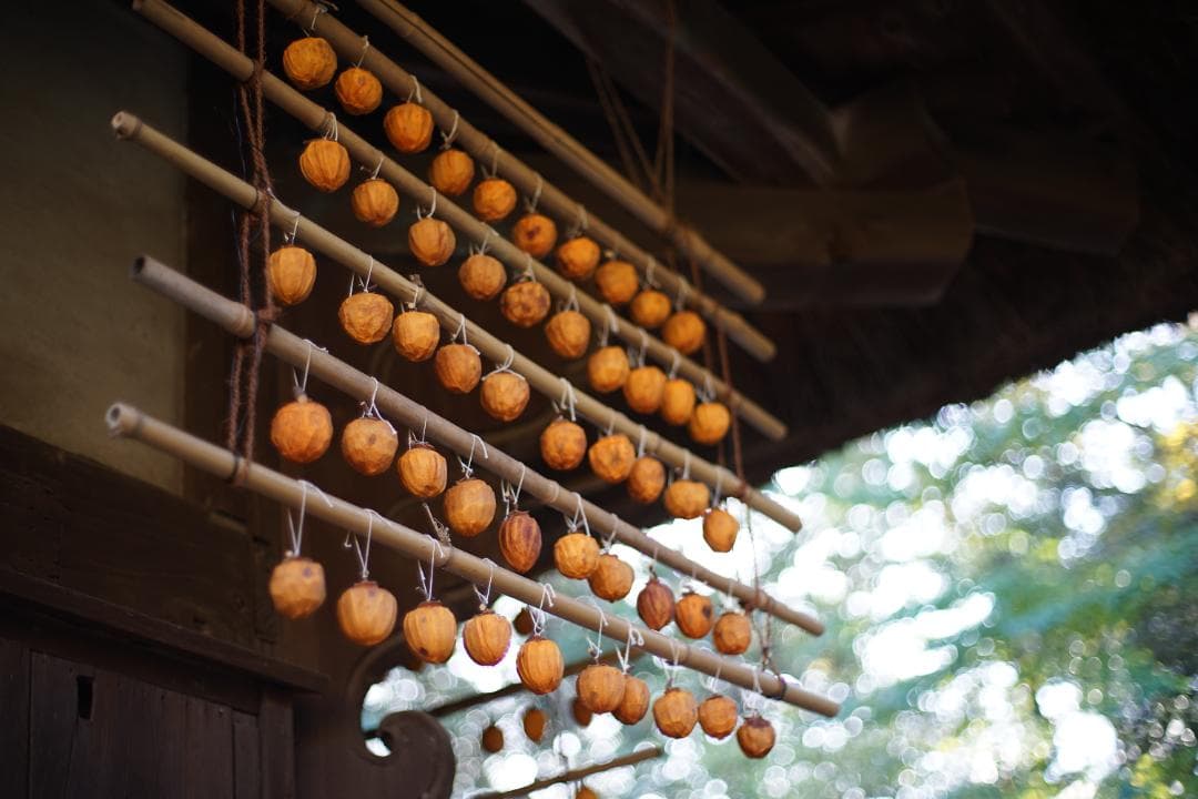 Carl　Zeiss　Planar 1.4/50mm　T*　付属多数付き