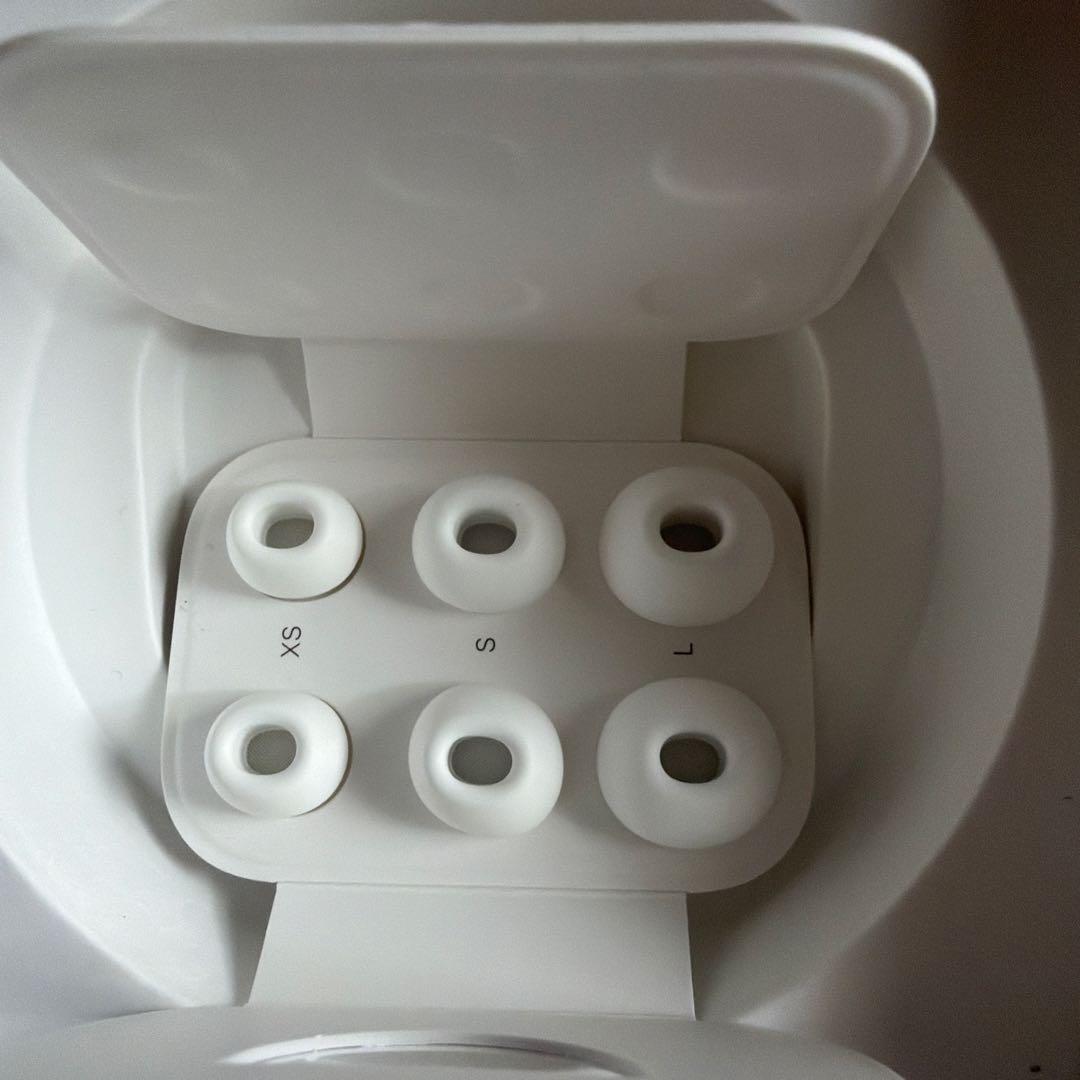 Apple AirPods 2本体 充電ケース付き