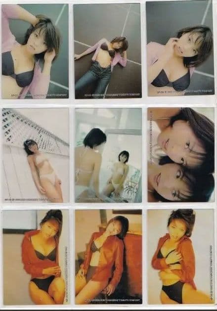 釈由美子　トレカ　SP25枚（プラ）シルバーサイン31枚他　277枚