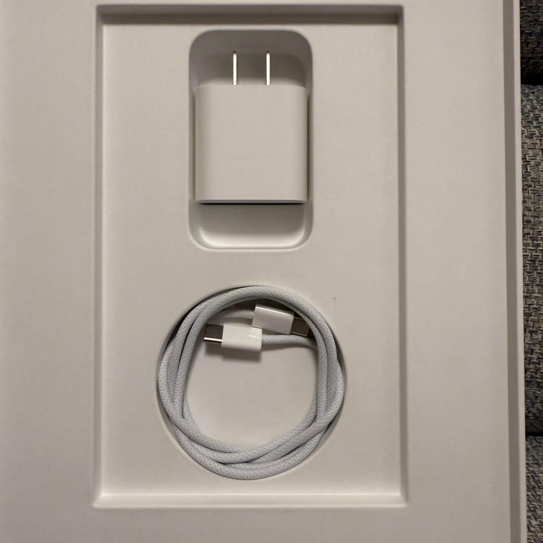 iPad Air 第４世代　スカイブルー　256GB 本体