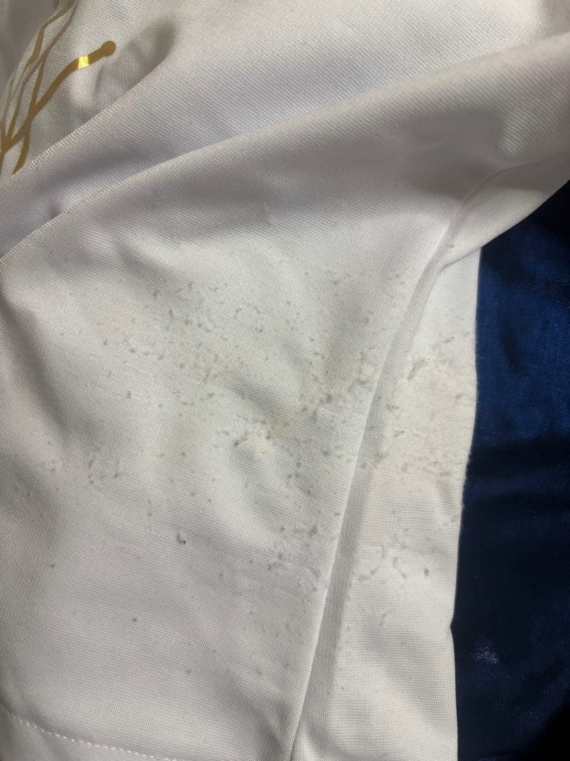 にじさんじ　ミランケストレル　コスプレ衣装