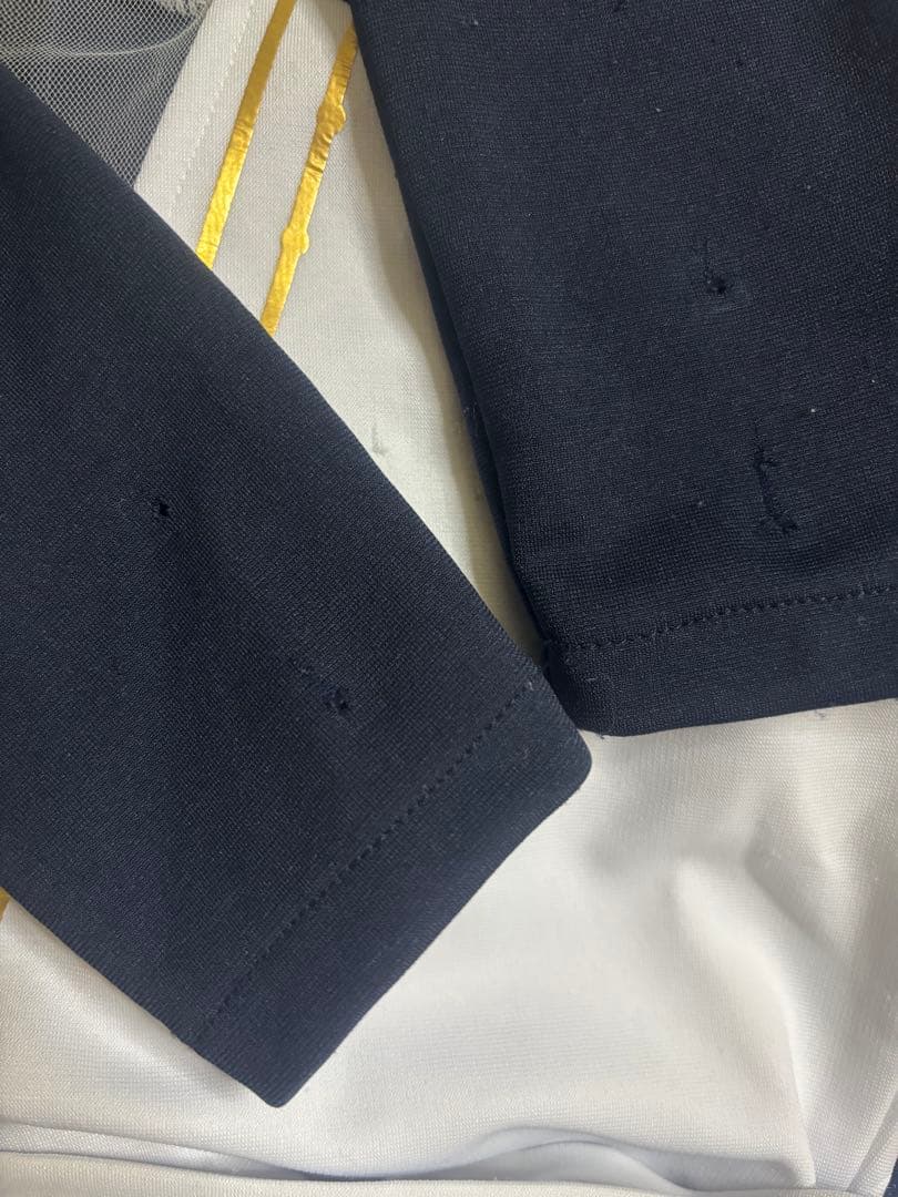 にじさんじ　ミランケストレル　コスプレ衣装