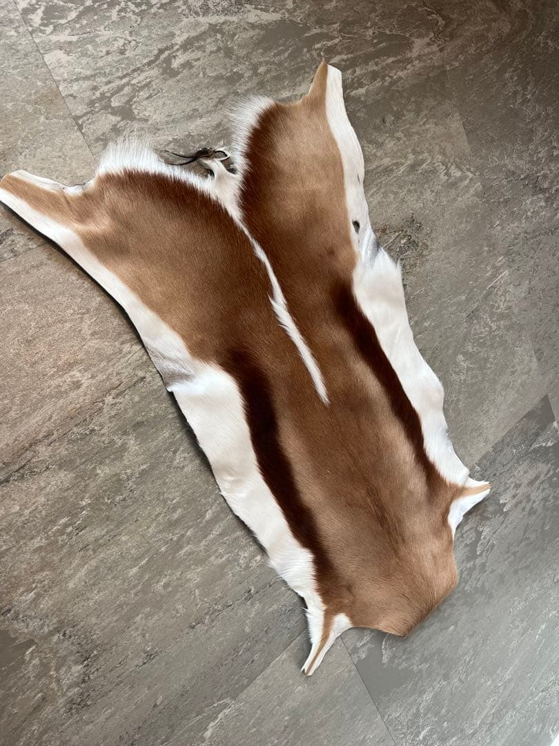 【新品】南アフリカ産　天然毛皮　ラグ　スプリングボック