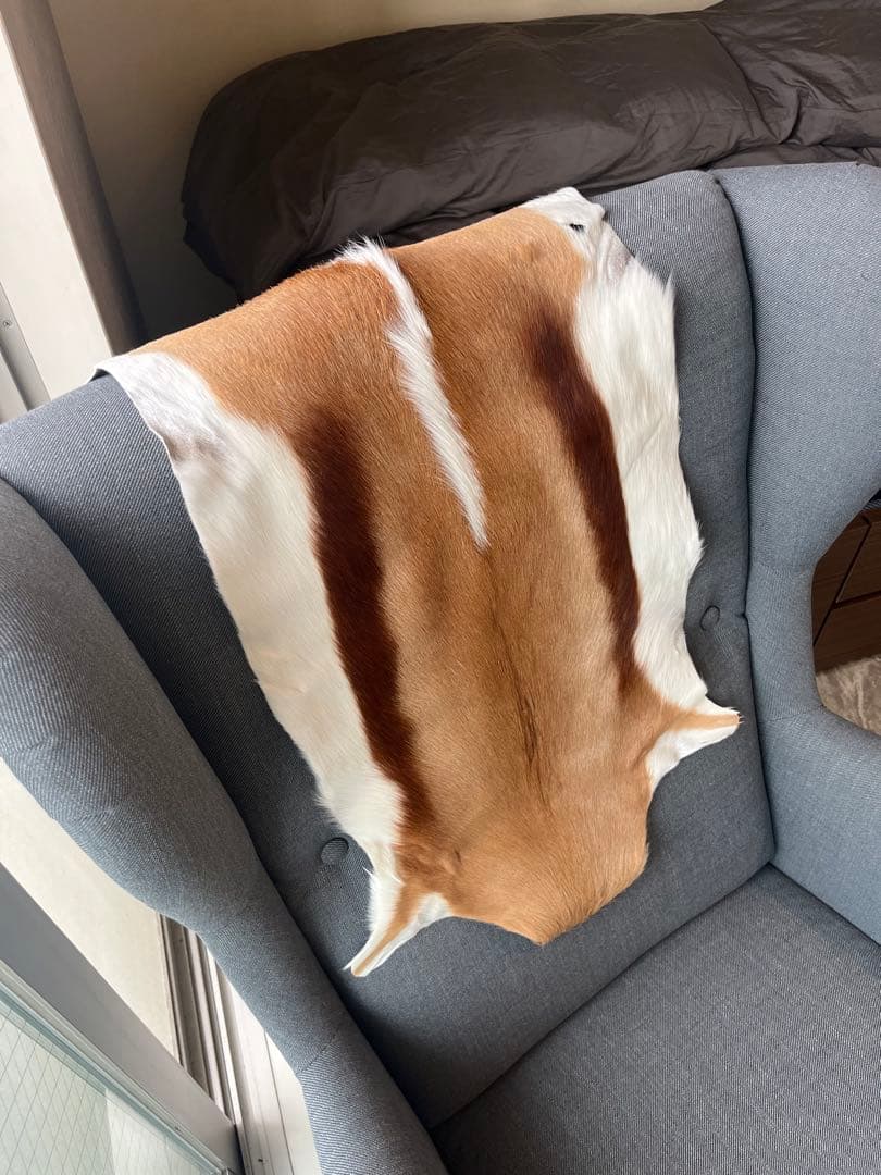 【新品】南アフリカ産　天然毛皮　ラグ　スプリングボック