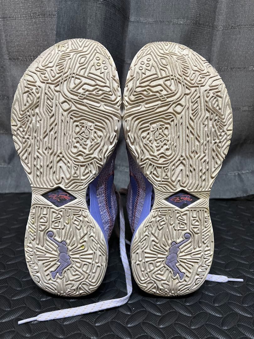 シューズ(男性用) Nike LeBron 20 Violet Frost